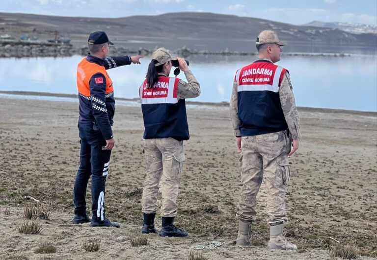 Bitlis’te jandarma, ‘inci kefali’ denetiminde