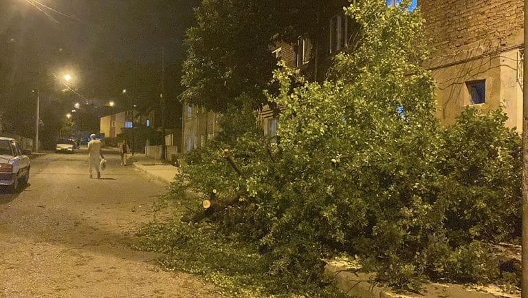 Karabük’te fırtınada ağaçlar devrildi