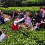 Bakan Yumaklı: İklim değişikliğinin çayda korktuğumuz etkisi olmadı 2 bakan yumakli iklim degisikliginin cayda korktugumuz etkisi olmadi 3f01d34c2d75