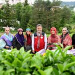 Bakan Yumaklı: İklim değişikliğinin çayda korktuğumuz etkisi olmadı 8 bakan yumakli iklim degisikliginin cayda korktugumuz etkisi olmadi 9fd945f00fd0