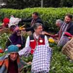 Bakan Yumaklı: İklim değişikliğinin çayda korktuğumuz etkisi olmadı 1 bakan yumakli iklim degisikliginin cayda korktugumuz etkisi olmadi cf942fd8a4a6