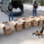 Dronla tespit edilen araçtan 38 bin 464 adet sentetik ecza hap çıktı 3 dronla tespit edilen aractan 38 bin 464 adet sentetik ecza hap cikti ef1a64eed83f