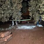 kendisinden haber alamadigi oglunu bag evinde baltayla oldurulmus halde buldu a0996862cdff