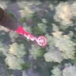 Aydın ve Muğla'daki orman yangınları söndürüldü 1 aydin ve mugladaki orman yanginlari sonduruldu df6bd3c64398