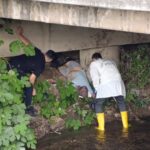 Bursa'da dere kenarında erkek cesedi bulundu 7 bursada dere kenarinda erkek cesedi bulundu 5abfa28a1ecb