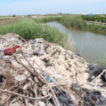 Flamingo ve kaplumbağaların yaşam alanı olan koruma altındaki lagünlerde plastik tehdidi 9 flamingo ve kaplumbagalarin yasam alani olan koruma altindaki lagunlerde plastik tehdidi 258982a1f280