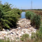 Flamingo ve kaplumbağaların yaşam alanı olan koruma altındaki lagünlerde plastik tehdidi 7 flamingo ve kaplumbagalarin yasam alani olan koruma altindaki lagunlerde plastik tehdidi 2d19d3ea579a