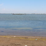 Flamingo ve kaplumbağaların yaşam alanı olan koruma altındaki lagünlerde plastik tehdidi 6 flamingo ve kaplumbagalarin yasam alani olan koruma altindaki lagunlerde plastik tehdidi 3c4d8924cf6e