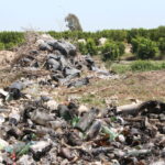 Flamingo ve kaplumbağaların yaşam alanı olan koruma altındaki lagünlerde plastik tehdidi 8 flamingo ve kaplumbagalarin yasam alani olan koruma altindaki lagunlerde plastik tehdidi e70ab8d69344