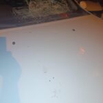 istanbul fatihte 4 yasindaki yegeninin oldugu araca saldirdi enistesini darbetti 305fc66bcdd8