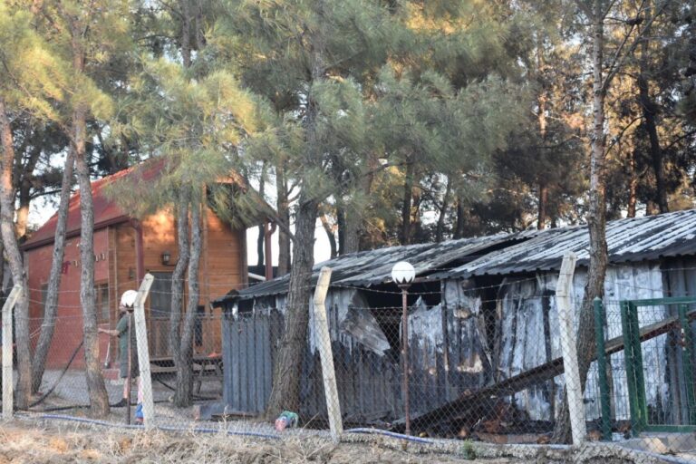 İzmir Bornova’da orman yangını (4)