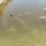 Kayıp 2 çocuk babası için barajda arama çalışması başlatıldı 1 kayip 2 cocuk babasi icin barajda arama calismasi baslatildi 38672ac9067f