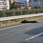 rizede hafif ticari arac bariyerlere carpti 2 olu 3 yarali bfe0a3ef2012