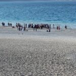 salda golunde baba ve oglu boguldu 302ec9c75905