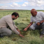 Şemsi Bayraktar: Aksaray'da 50 bin dekar alan doludan etkilendi, ürünler zarar gördü 4 semsi bayraktar aksarayda 50 bin dekar alan doludan etkilendi urunler zarar gordu 1aa39311341e