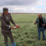 Şemsi Bayraktar: Aksaray'da 50 bin dekar alan doludan etkilendi, ürünler zarar gördü 3 semsi bayraktar aksarayda 50 bin dekar alan doludan etkilendi urunler zarar gordu 392a9f268354