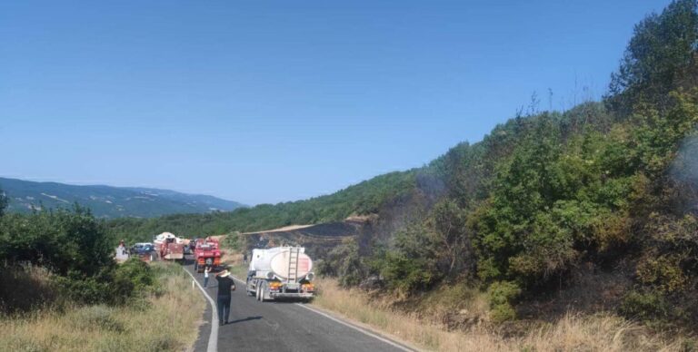 Tekirdağ’da orman yangını (2)