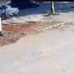 Yaya geçidinde aracıyla çaptığı kadının ölümüne neden olan sürücüye ilk duruşmada tahliye 1 yaya gecidinde araciyla captigi kadinin olumune neden olan surucuye ilk durusmada tahliye 213b56553f84