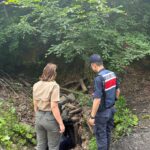 Zonguldak'ta 2 kaçak maden ocağı imha edildi 2 zonguldakta 2 kacak maden ocagi imha edildi 723d5f2c0784