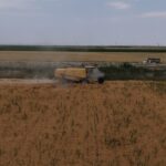 konya ovasinda kuraklik ve don nedeniyle yaklasik 1 milyon ton rekolte dususu bekleniyor a99b131a59ba