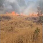 mardinde ortu yangini 3 saatte kontrol altina alindi video eklendi 161c73ac2baa