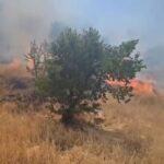 mardinde ortu yangini 3 saatte kontrol altina alindi video eklendi 3e7bf5ddedca