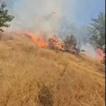 mardinde ortu yangini 3 saatte kontrol altina alindi video eklendi e2e03a82adad