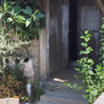 para vermedigi icin annesini olduren supheli tutuklandi f51ff132b037