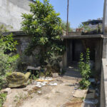 para vermedigi icin annesini olduren supheli tutuklandi fa7763411410