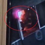 diyarbakirdaki yanginda 3 dukkan ile 19 traktor yandi 3 video eklendi 323ae808807d