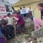 tartistigi esini tufekle oldurdu b800c56fad3b