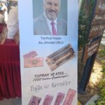 1200 cesit tugla ve yaklasik 350 kiremitten koleksiyon e1a9e00b3b9b