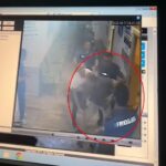 aile hekimini darbeden hasta yakini tutuklandi olay kamerada d9a2131266d4