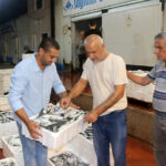 akdenizde av yasagi kalkti 1 kilo fiyatina 1 kasa balik 39450e6ed5e4