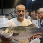 akdenizde av yasagi kalkti 1 kilo fiyatina 1 kasa balik 8917a0f57fa0