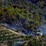 alanyadaki orman yangininda 2nci gun 5 24b96fe88729