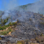 alanyadaki orman yangininda 2nci gun 5 460f90b97cfe