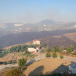 alanyadaki orman yangininda 2nci gun 1ada83df4e5b