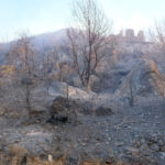 alanyadaki orman yangininda 2nci gun a0118f42b27a