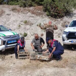 ankara kutahyada ele gecirilen 142 saka kusu dogaya salindi video eklendi 8b9a876071dd