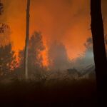 antalyadaki sazlik yangini 25 saatte sonduruldu 2 54889210875d