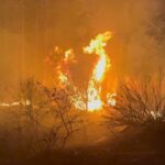 antalyadaki sazlik yangini 25 saatte sonduruldu 2 886bb2c23902