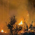 antalyadaki sazlik yangini 25 saatte sonduruldu 2 91fb7c5ebe2e