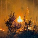 antalyadaki sazlik yangini 25 saatte sonduruldu 2 dc36a95c4eae