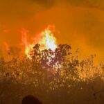 antalyadaki sazlik yangini 25 saatte sonduruldu 2 f386d6c9bd59