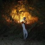 antalyadaki sazlik yangini 25 saatte sonduruldu 0a37b6989526