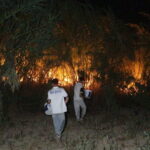 antalyadaki sazlik yangini 25 saatte sonduruldu aee57f59a6d5