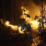 antalyadaki sazlik yangini 25 saatte sonduruldu da3c1d1c7abd