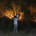 antalyadaki sazlik yangini 25 saatte sonduruldu e20be4043de9