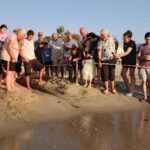 Aydın ve İzmir’de 9 yuvadan çıkan 469 caretta caretta yavrusu, denizle buluştu 6 aydin ve izmirde 9 yuvadan cikan 469 caretta caretta yavrusu denizle bulustu 30f0329e797b